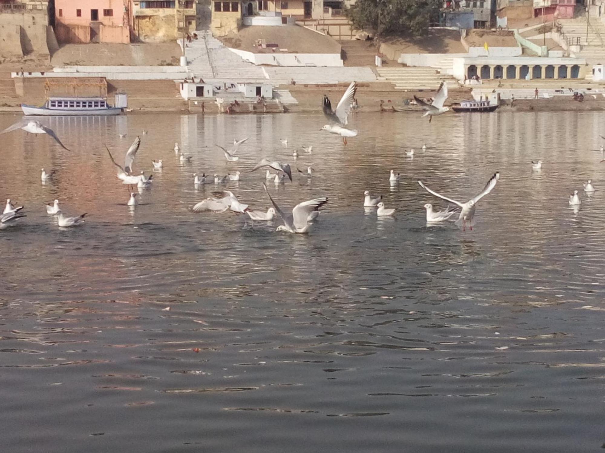 Tandon Lodge On The Ganga Ghat Homestay Varanasi Luaran gambar